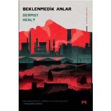 Beklenmedik Anlar - Dermot Healy
