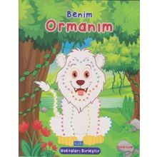 Benim Ormanım-Parıltı Yayınları