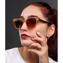 Bern Glasses Gl Helle 53 19 138 003d Kadın Güneş Gözlüğü