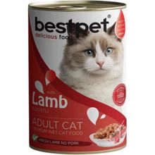 Bestpet 24x400 gr Kuzu Etli Konserve Yetişkin Kedi Maması