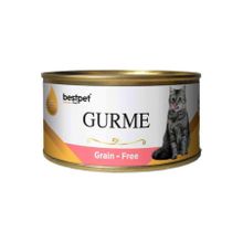Bestpet Gurme Jelly 100 gr Tahılsız Somonlu Kısır Kedi Konservesi