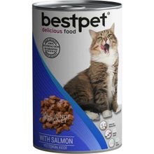 Bestpet Somonlu Yetişkin 40x415 g Kedi Konservesi