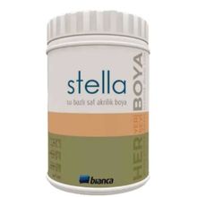 Bianca Stella Mint Yeşili 1 L Su Bazlı Saf Akrilik Boya