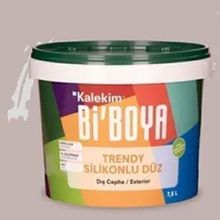 Bi'Boya 4011 7.5 lt Silikonlu Dış Cephe Boyası