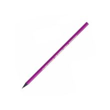 Bic 901737 Evolutıon Purple Kurşun Kalem