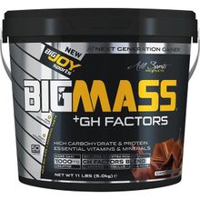Bigjoy Bigmass GH Factors 5000 gr Çikolata Aromalı Karbonhidrat Tozu