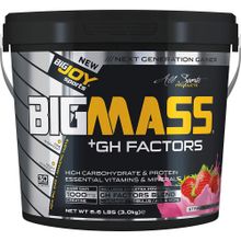 Bigjoy Çilek Aromalı 3000 gr Bigmass Gh Factor Karbonhidrat Tozu