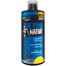 Bigjoy Sports Terminator L-Carnitine 3000 mg Limon Aroma 1000 ml L Karnitin Termojenik Kafein
