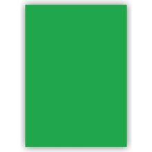 Bigpoint 50x70 cm 120 gr 100'lü Yeşil Fon Kartonu