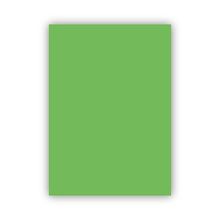 Bigpoint 50x70 cm 120 gr Açık Yeşil Fon Kartonu