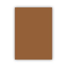 Bigpoint 50x70 cm 120 gr Kahverengi Fon Kartonu