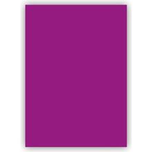 Bigpoint 50x70 cm 120 gr Mor Fon Kartonu