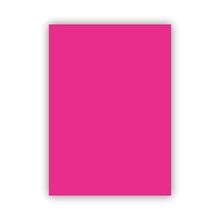Bigpoint 50x70 CM 120 GR Pembe Fon Kartonu