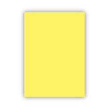 Bigpoint 50x70 CM 120 GR Sarı Fon Kartonu