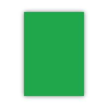 Bigpoint 50x70 CM 120 GR Yeşil Fon Kartonu