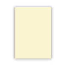 Bigpoint 50x70 cm 160 gr 100'lü Fildişi Fon Kartonu