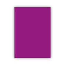 Bigpoint 50x70 cm 160 gr 100'lü Mor Fon Karton