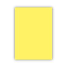 Bigpoint 50x70 cm 160 gr 100'lü Sarı Fon Karton