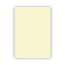 Bigpoint 50x70 cm 160 gr Fildişi Fon Kartonu