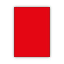 Bigpoint 50x70 cm 160 gr Kırmızı Fon Kartonu