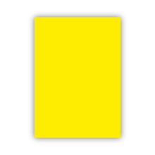 Bigpoint 50x70 CM 160 GR Limon Sarısı Fon Kartonu
