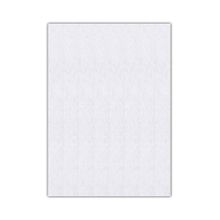 Bigpoint 50x70 cm 2 mm Beyaz 10'lu Keçe