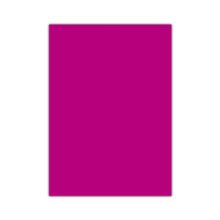 Bigpoint 50x70 cm Koyu Pembe Fosforlu Fon Kartonu