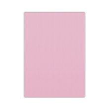 Bigpoint 50x70 cm Pembe 10'lu Eva Paketi