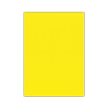 Bigpoint 50x70 cm Sarı 10'lu Eva