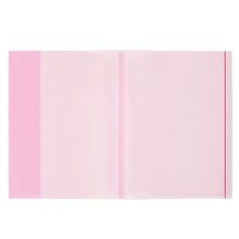Bigpoint 5'li Paket 25'li Kutu Şeffaf Kırmızı A4 Hazır Defter Kabı