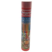 Bigpoint BP94112 12'li Metal Tüp Boya Kalemi
