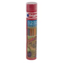 Bigpoint Metal Tüpde 12 Renk Kuru Boya Kalemi