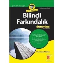 Bilinçli Farkındalık - Shamash Alidina