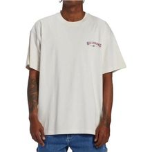 Billabong Arch Wave Tees Beyaz Erkek T-shirt