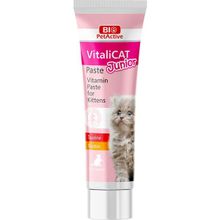 Bio PetActive 100 ml Vitalicat Yavru Kedi Vitamin Pastası