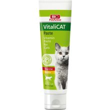 Bio PetActive 100 ml Vitalicat Yavru Kediler İçin Multivitamin Paste