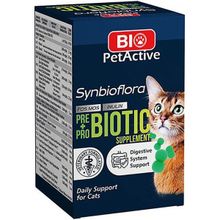Bio PetActive 60 Adet Synbioflora Kedi Probiotik