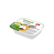 Bio PetActive Grass Kit Naturel Kedi Çimi