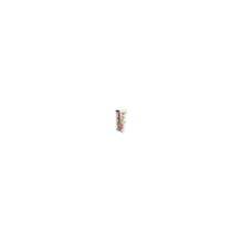 Bio PetActive Rainbow Yeşil 100 ml Köpekler İçin Tüy Renk Boyası