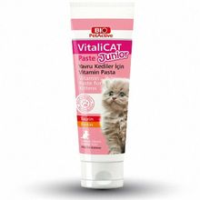 Bio PetActive Vitalicat Paste 100 ml Kedi Vitamin Macunu