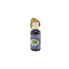 Bio Store 50 ml Kenevir Tohumu Yağı