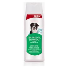 Bioline Tea Tree Oil Şampuan 250 ml