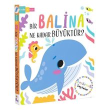 Bir Balina Ne Kadar Büyüktür? İndigo Çocuk