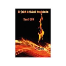 Bir Çığlık At Hüzünlü Memleketim - Sami Gök