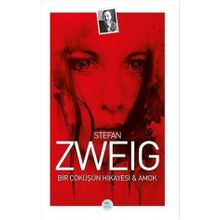 Bir Çöküşün Hikayesi ve Amok - Stefan Zweig
