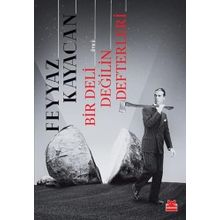 Bir Deli Değilin Defterleri - Feyyaz Kayacan