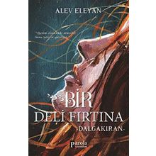 Bir Deli Fırtına Dalgakıran - Alev Eleyan