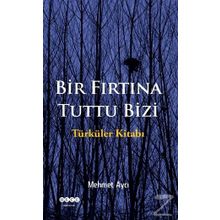 Bir Fırtına Tuttu Bizi - Mehmet Aycı