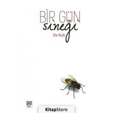 Bir Gün Sineği / Ela Kiçik / Notabene Yayınları