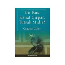 Bir Kuş Kanat Çırpar, Tutsak Mıdır? - Çağatay Güler